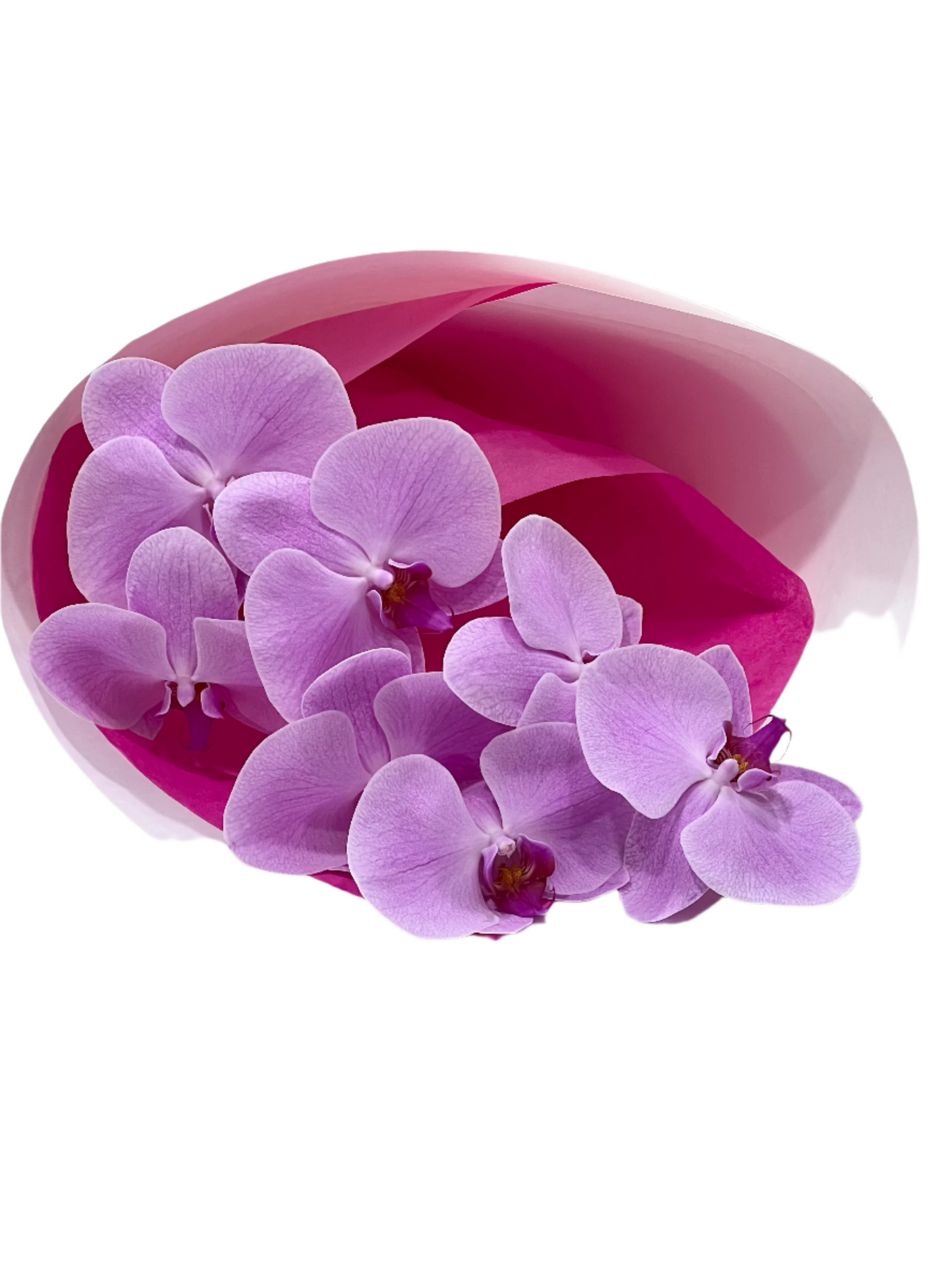 Long lasting valentines day gift by canberra florist